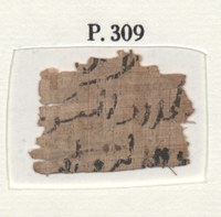 309 Verso.jpg