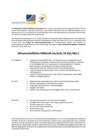 Ausschreibung WHK-Stelle OrgaBüro für den Historikertag 2025.pdf